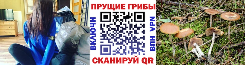 Галлюциногенные грибы ЛСД  Анадырь 